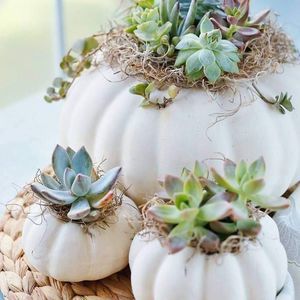 Meet your Posher, Val